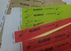 VEGARAVE