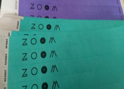 zoom