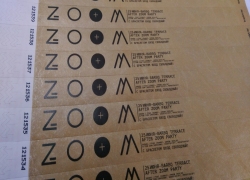 ZOOM 2