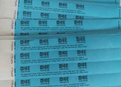 NICE-ICE.BY