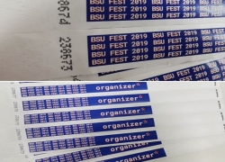 bsu fest 2019